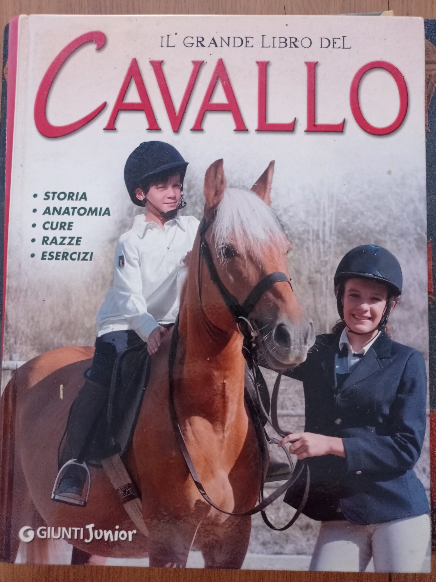 Il grande libro del cavallo. Storia, anatomia, cure, razze, esercizi. Ediz. illustrata - copertina