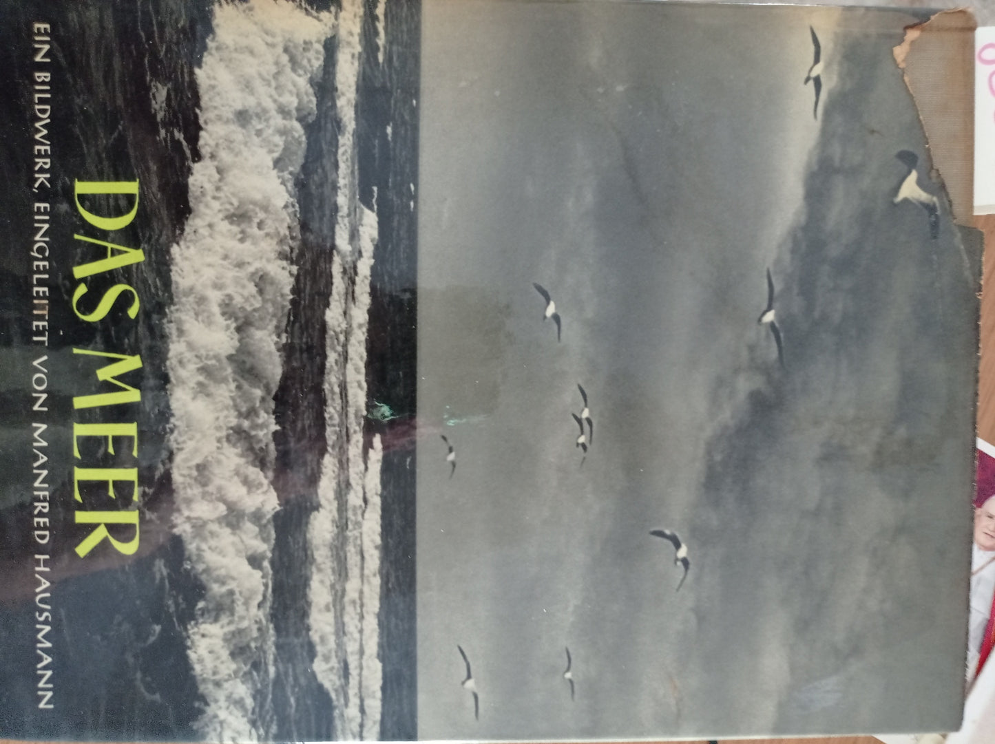 DAS MEER EIN BILDWERK - copertina