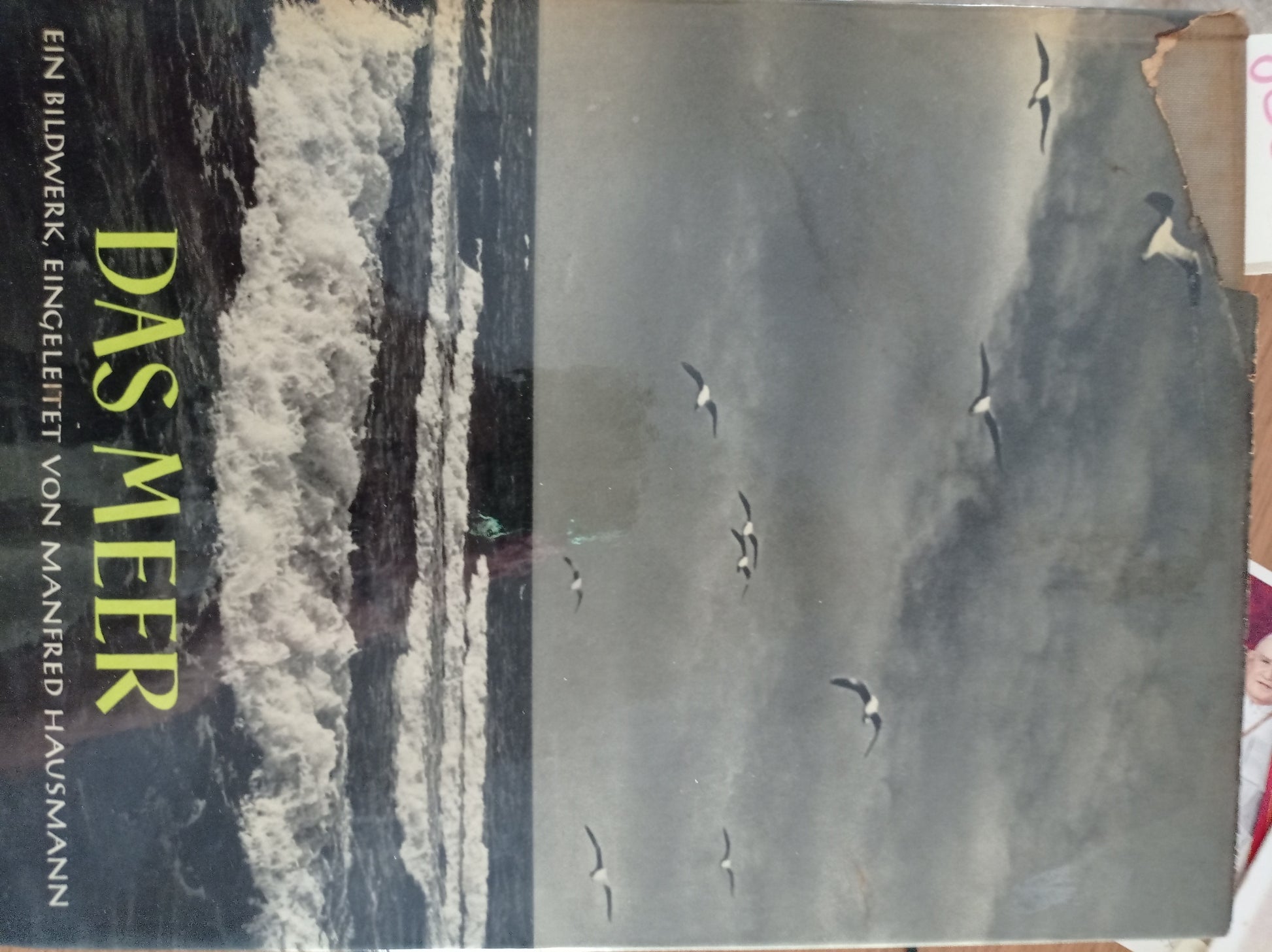 DAS MEER EIN BILDWERK - copertina