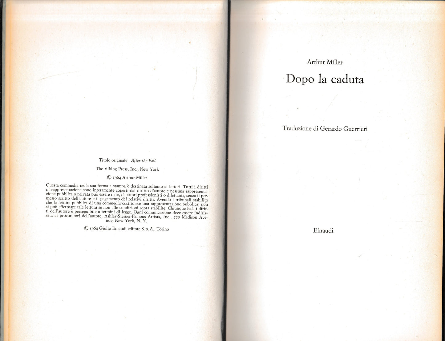 Dopo la caduta - copertina