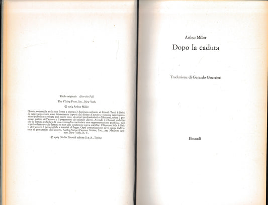 Dopo la caduta - copertina