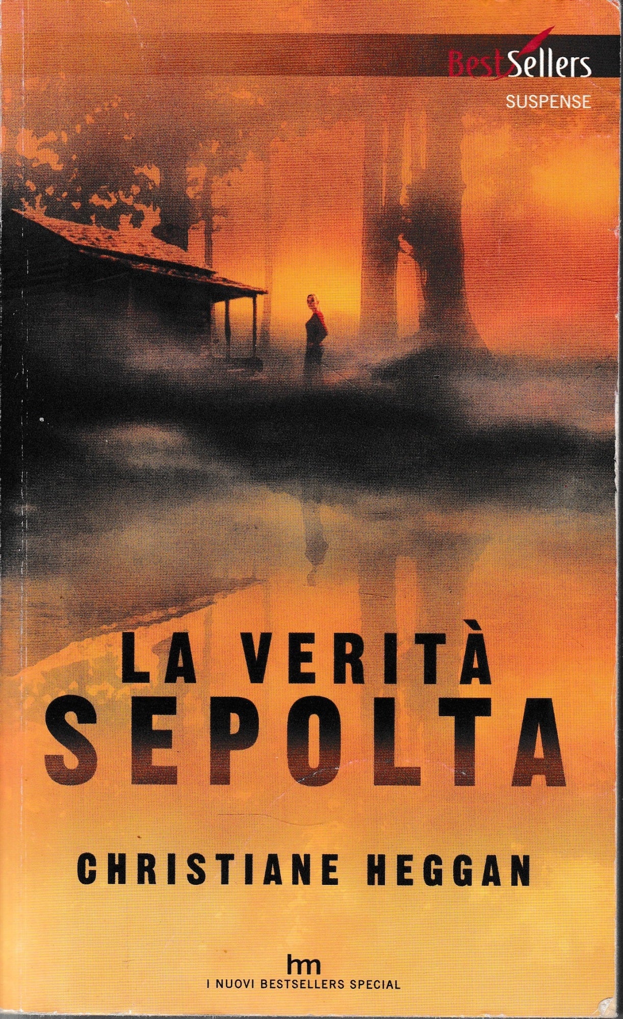 La verità sepolta - copertina