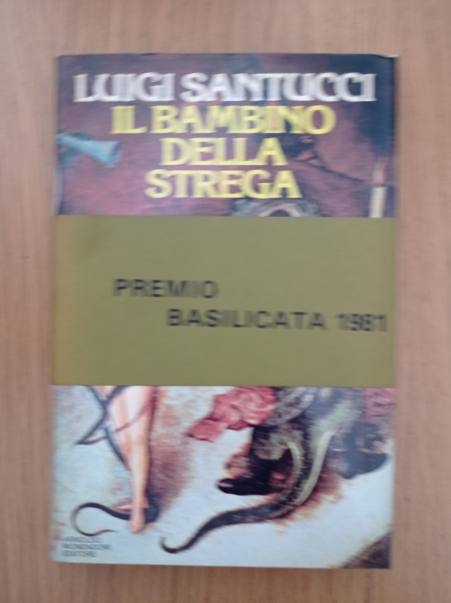 il bambino della strega - copertina