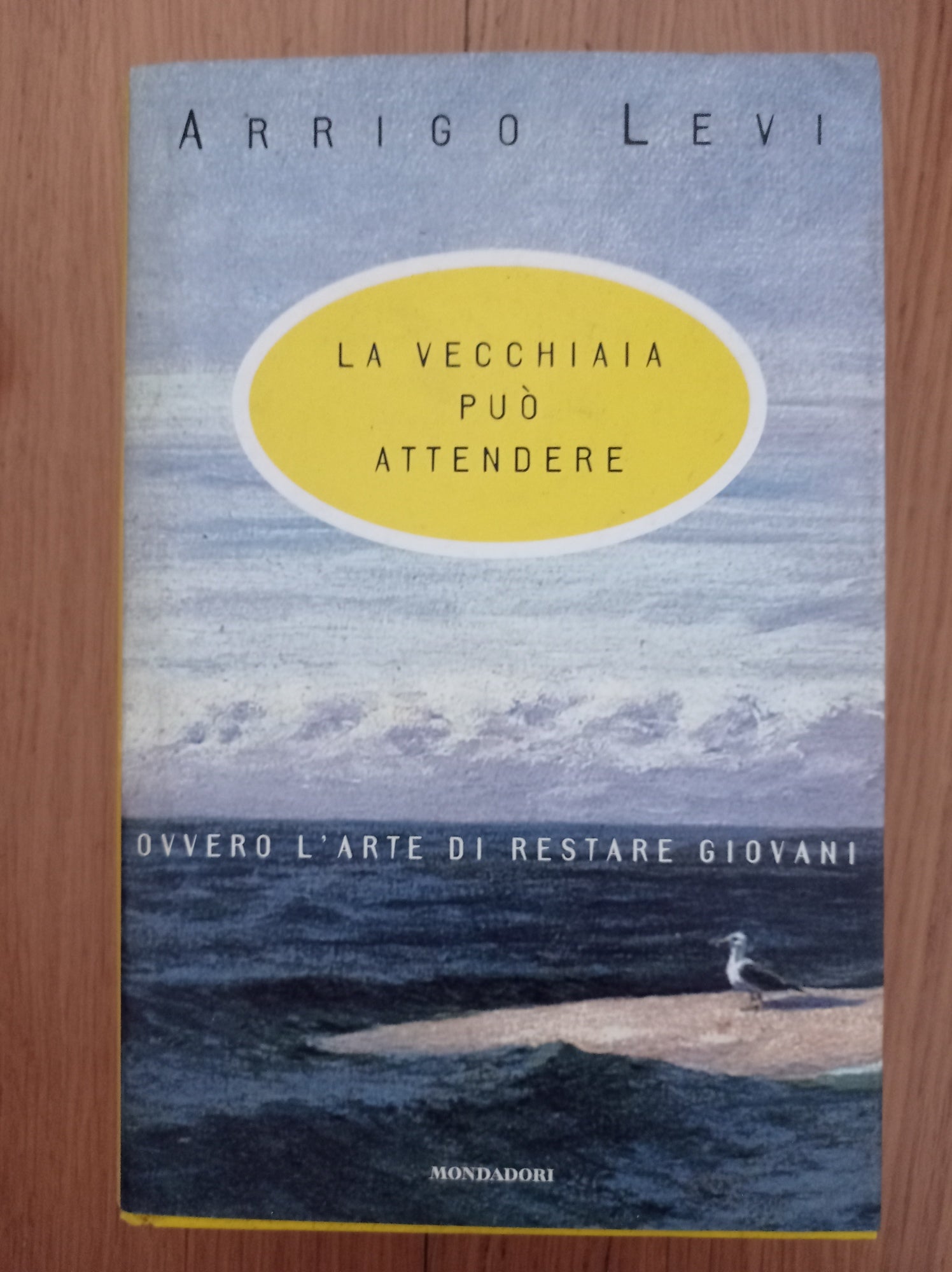 La vecchiaia può attendere - copertina