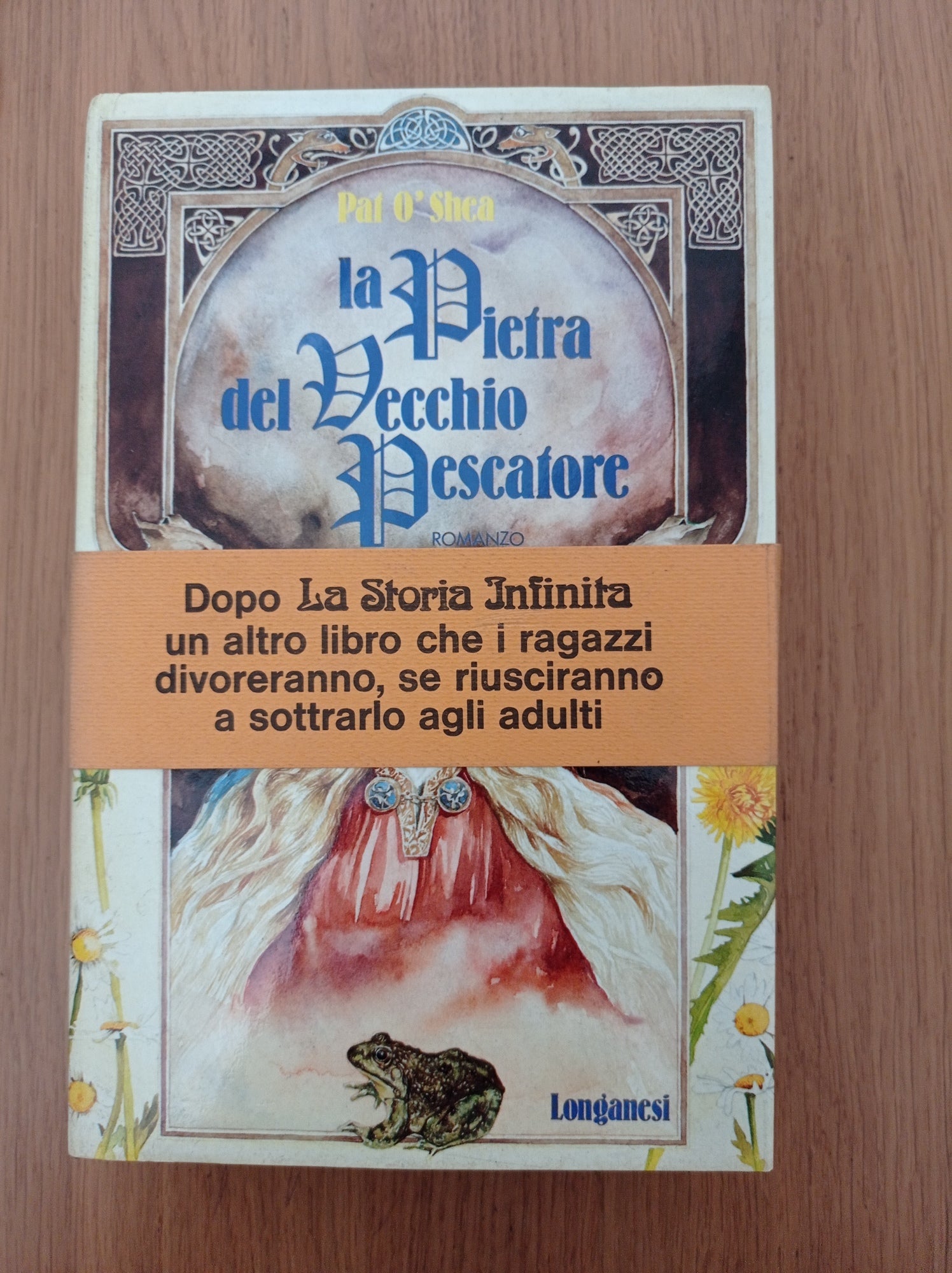 La pietra del vecchio pescatore : romanzo - copertina