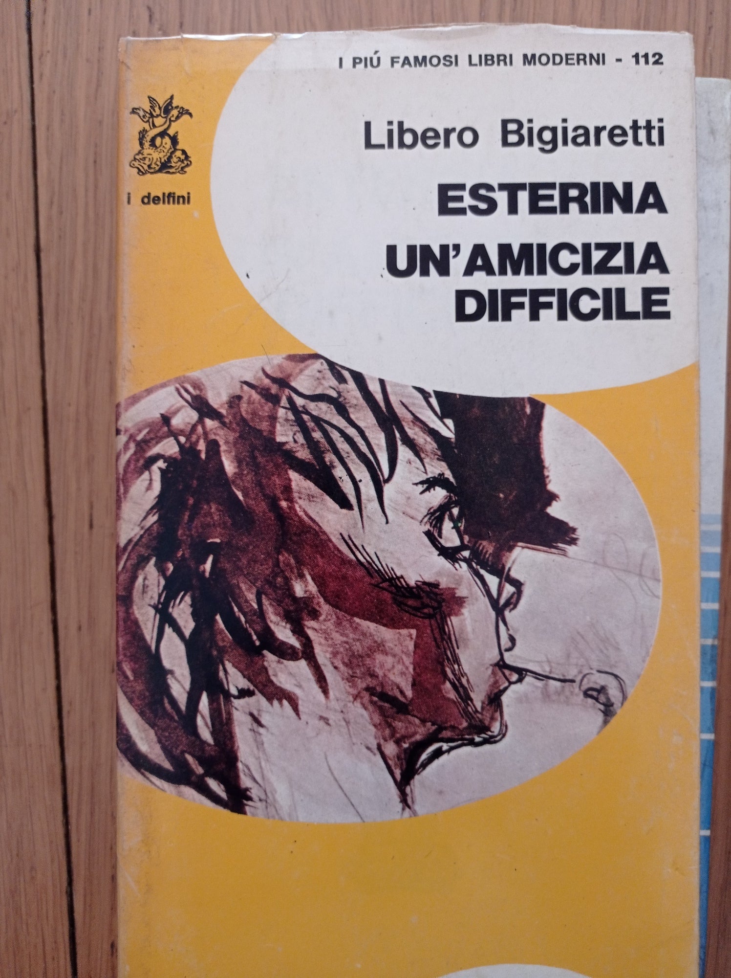 Esterina Un'amicizia difficile - copertina