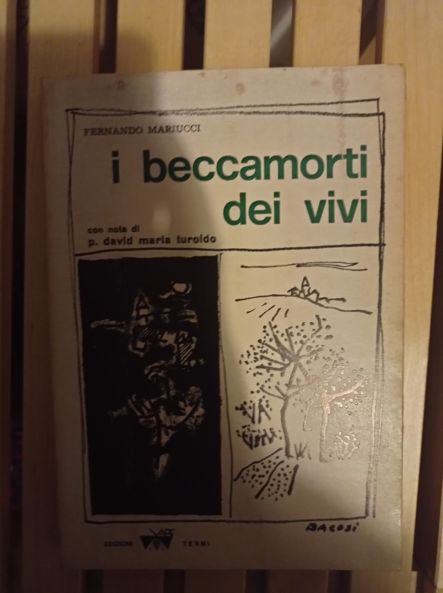 I baccamorti dei vivi - copertina