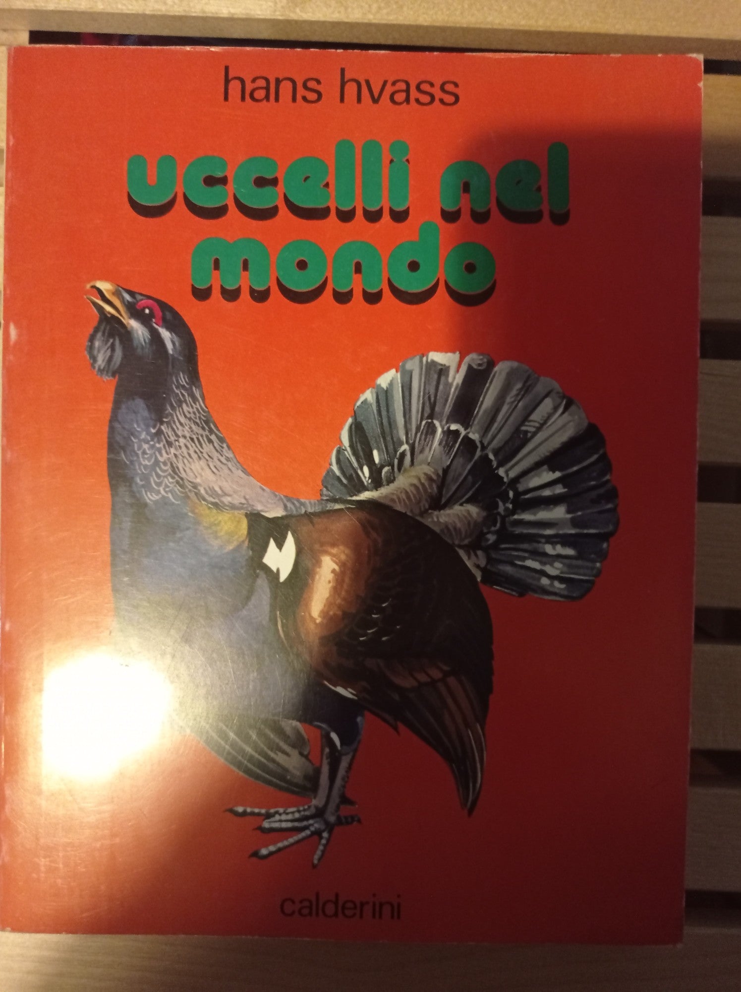 Uccelli nel mondo - copertina