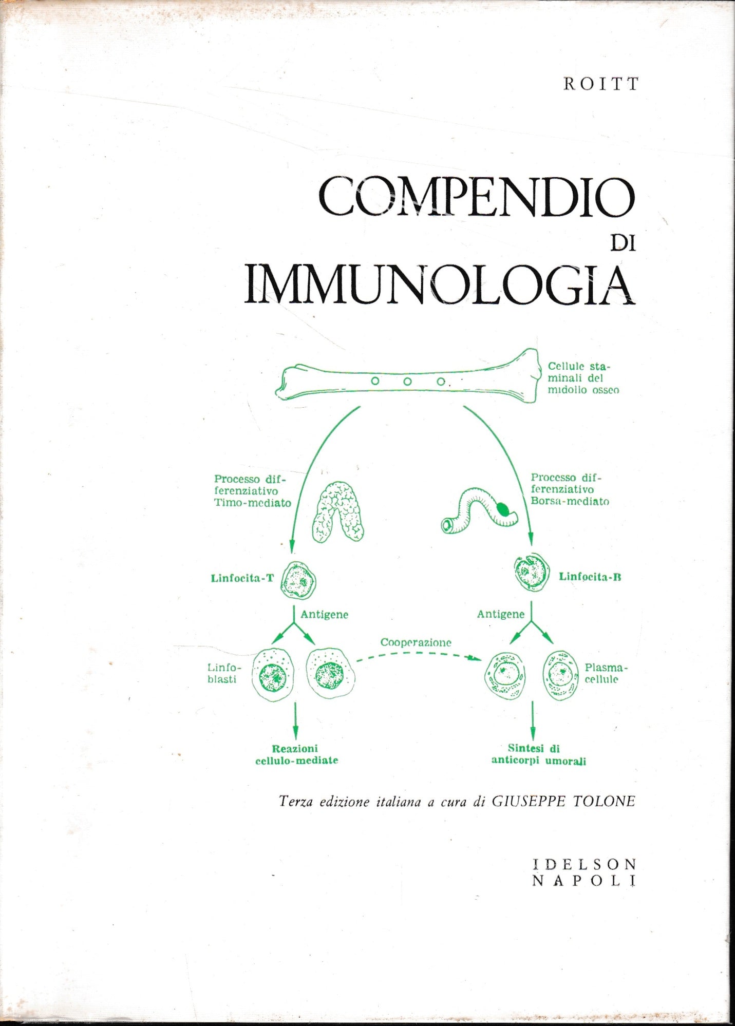 Compendio di Immunologia - copertina