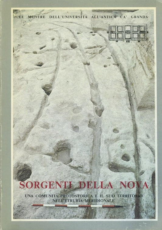 Sorgenti della nova. Una comunità protostorica e il suo territorio nell'Etruria meridionale - copertina