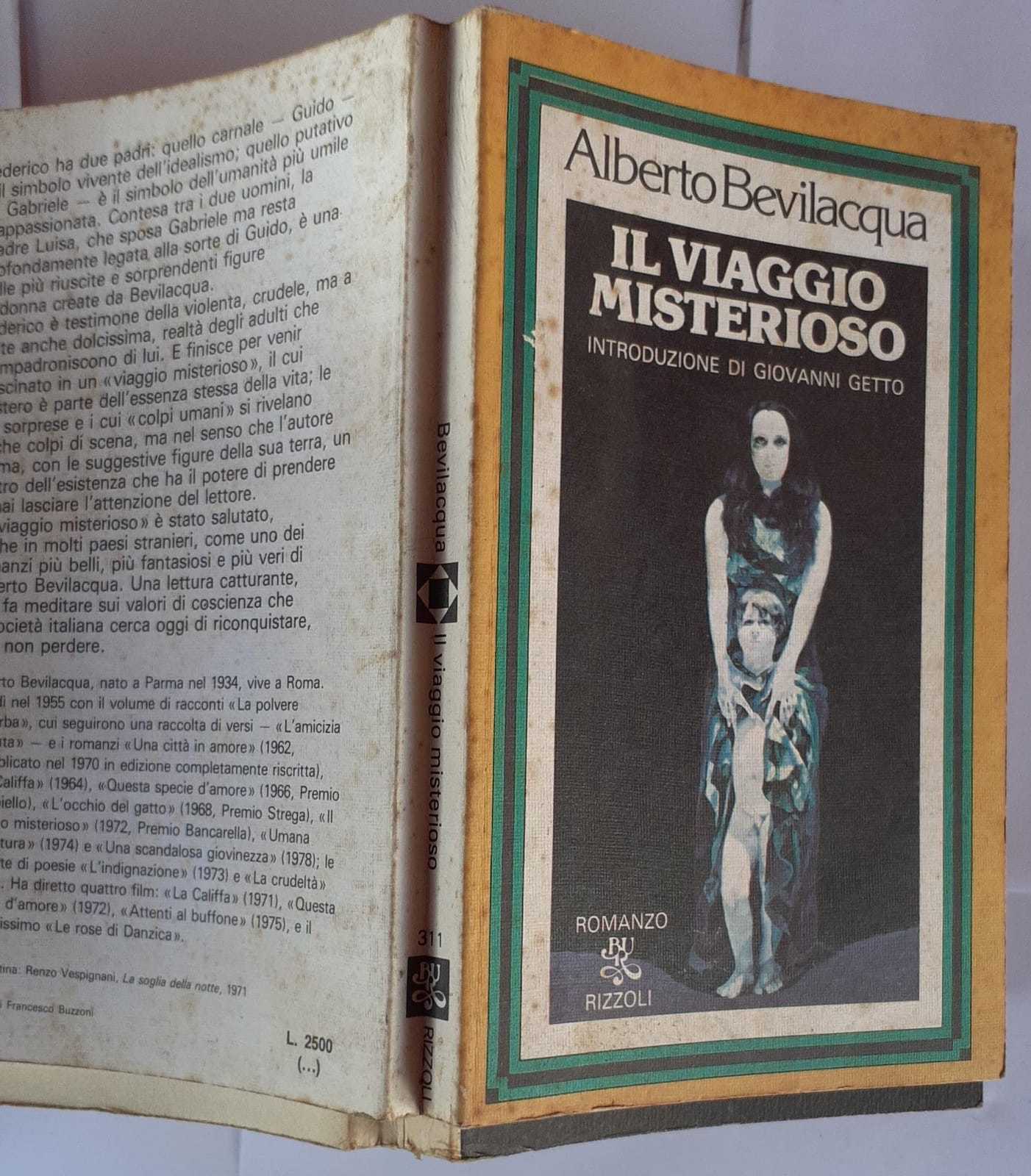 Il viaggio misterioso - copertina