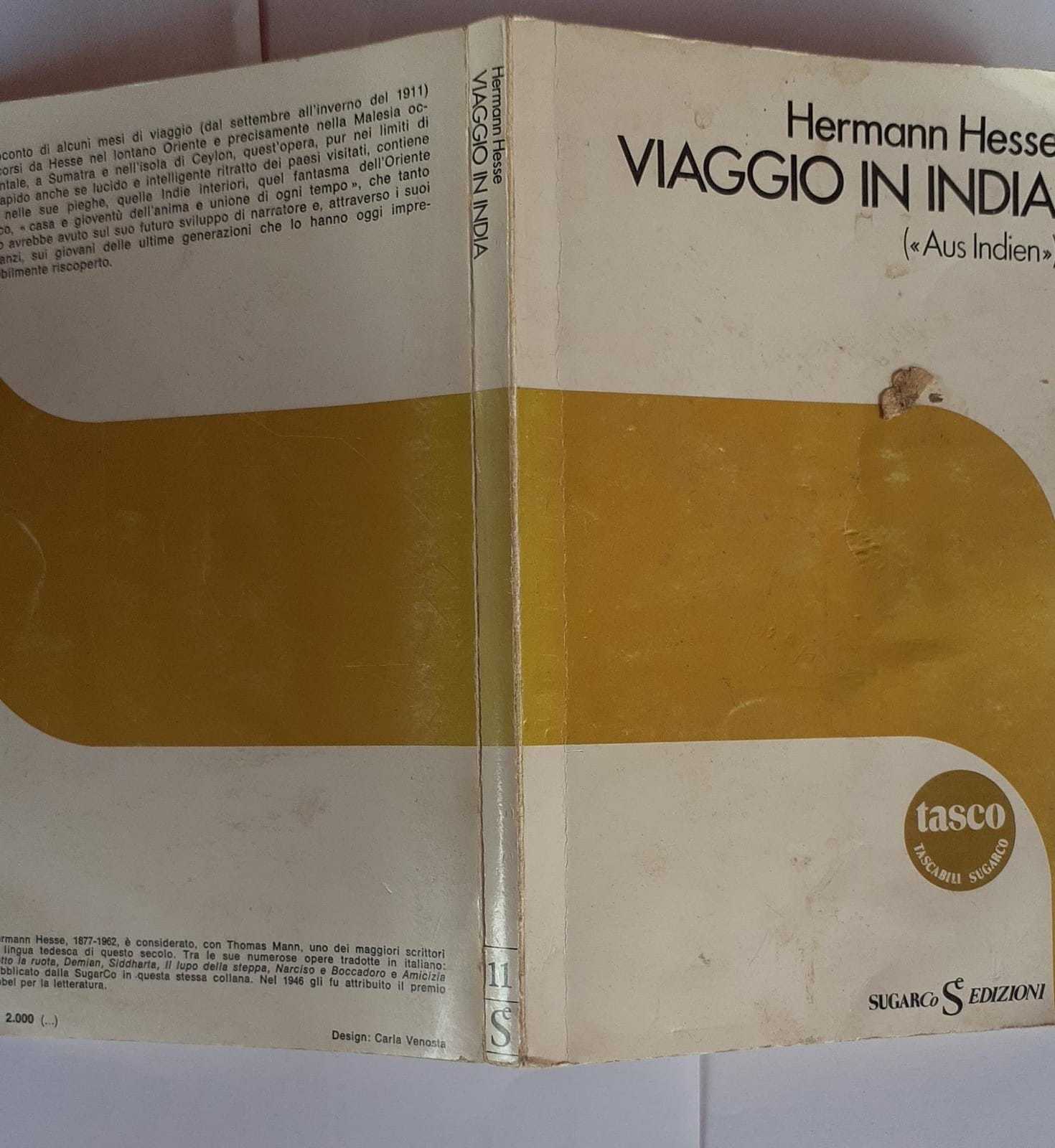 Viaggio in India - copertina