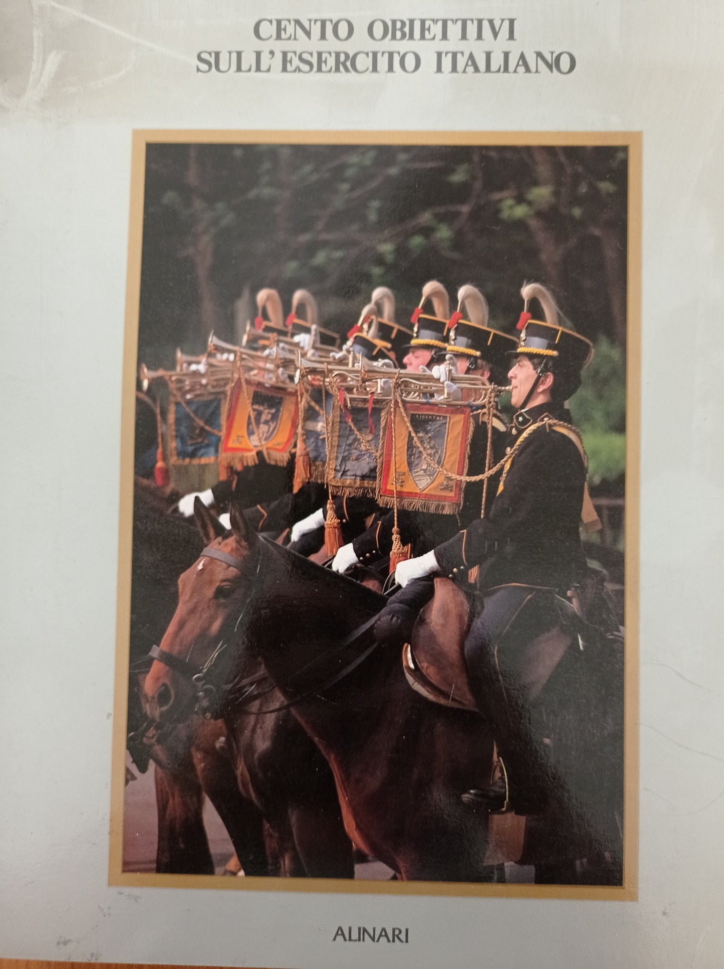 Cento obiettivi sull\'esercito italiano. La fotografia nelle istituzioni militari. Ediz. illustrata - copertina