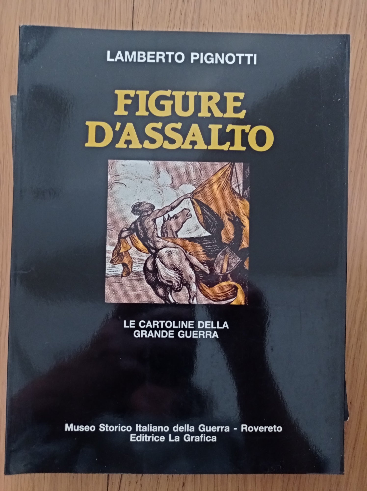 Figure d'assalto - copertina
