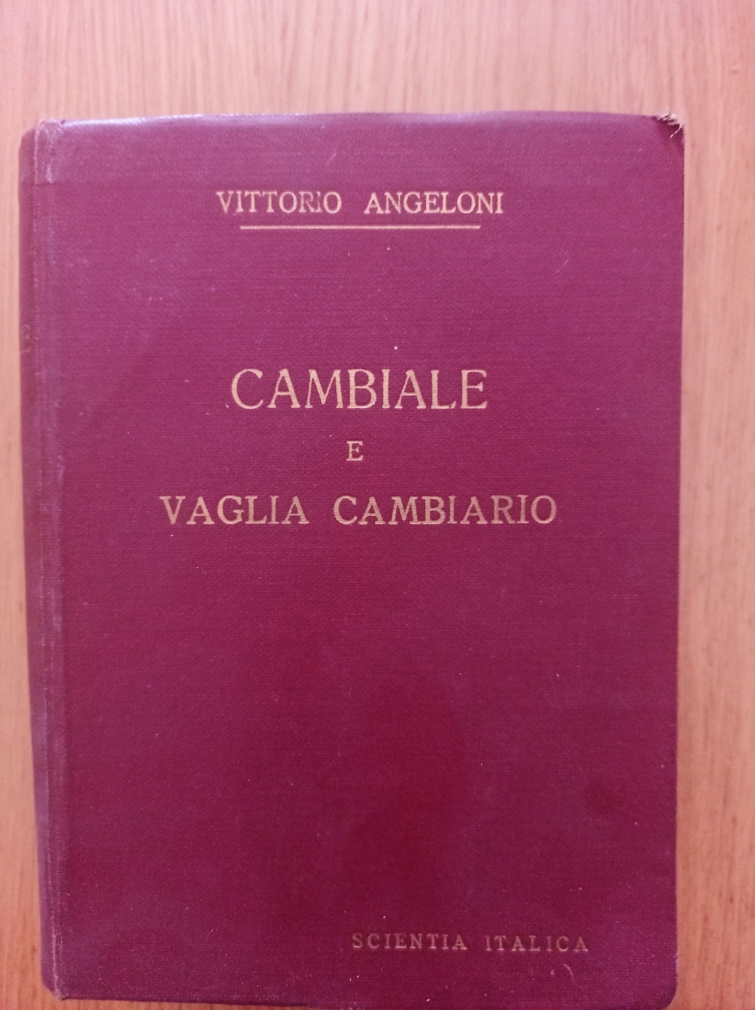 Titoli di credito cambiari 1 LA CAMBIALE E IL VAGLIA CAMBIARIO - copertina
