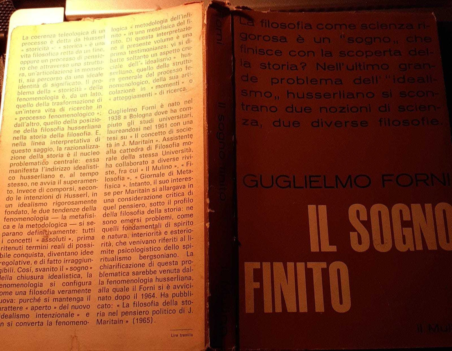 Il sogno finito. Saggio sulla storicita' della fenomenologia - copertina