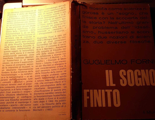 Il sogno finito. Saggio sulla storicita' della fenomenologia - copertina