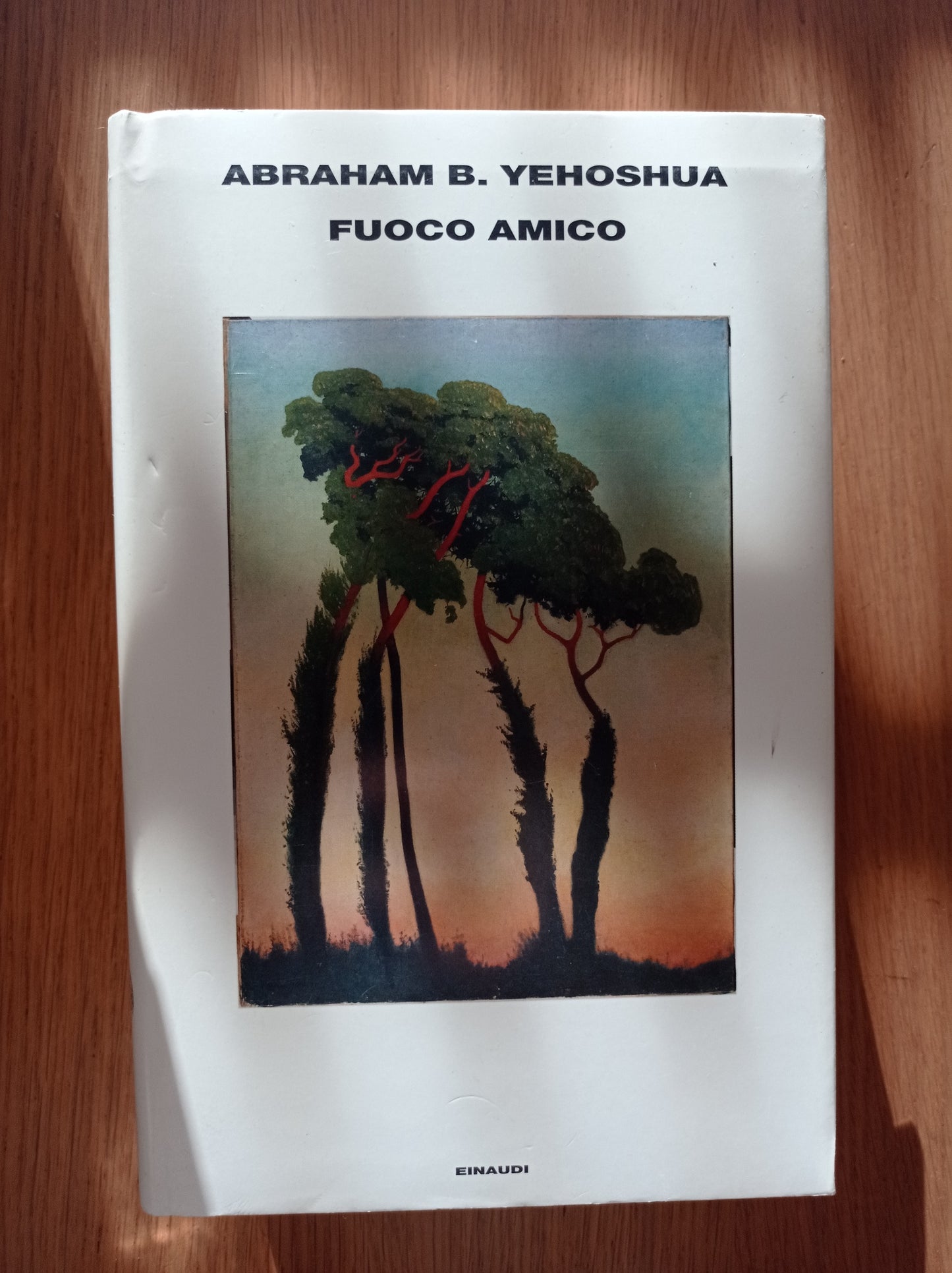 Fuoco amico - copertina