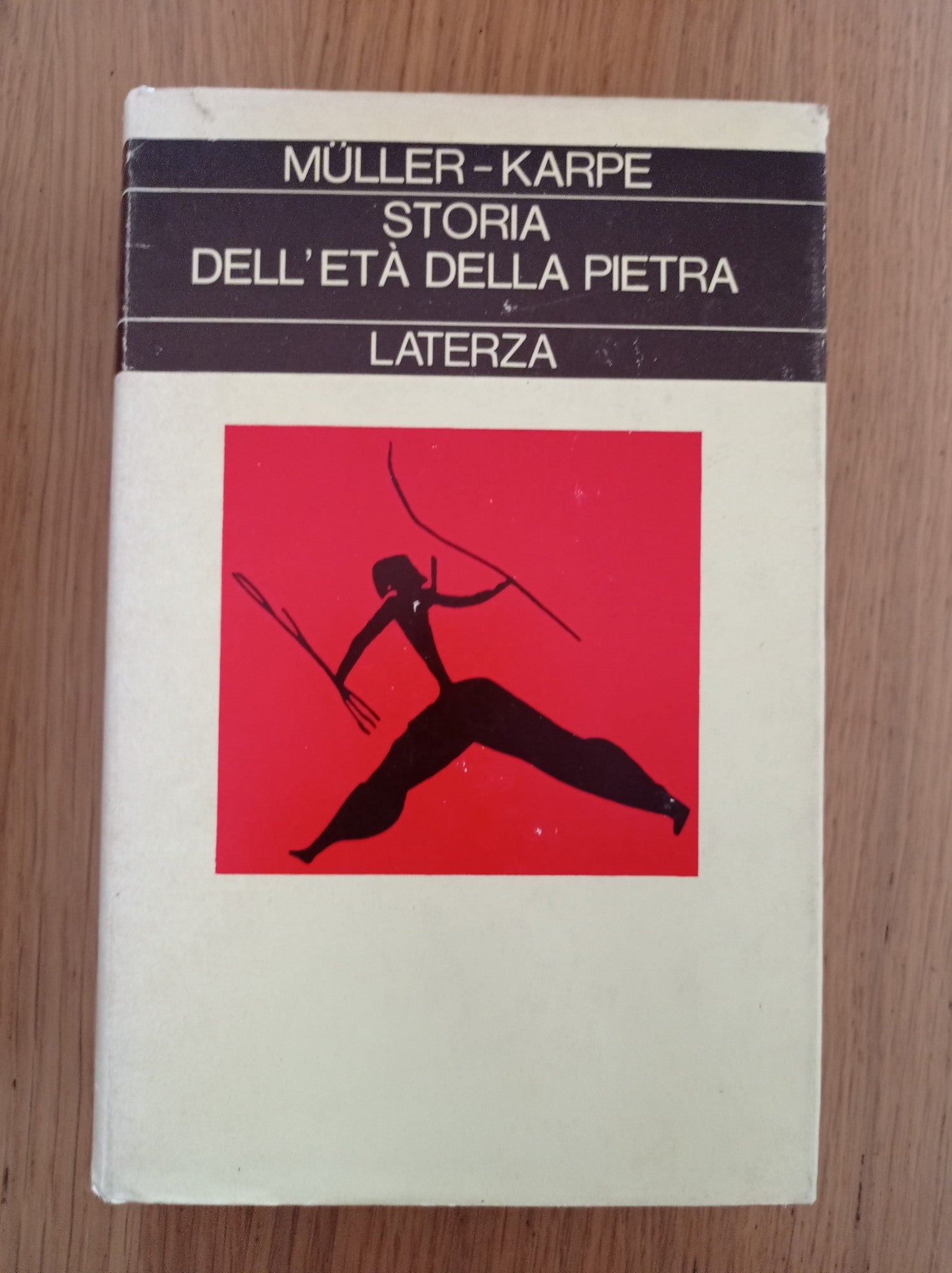 Storia dell'età della pietra - copertina