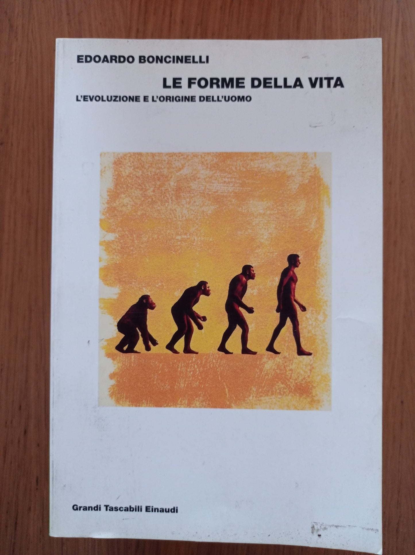 Le forme della vita. L\'evoluzione e l\'origine dell\'uomo - copertina