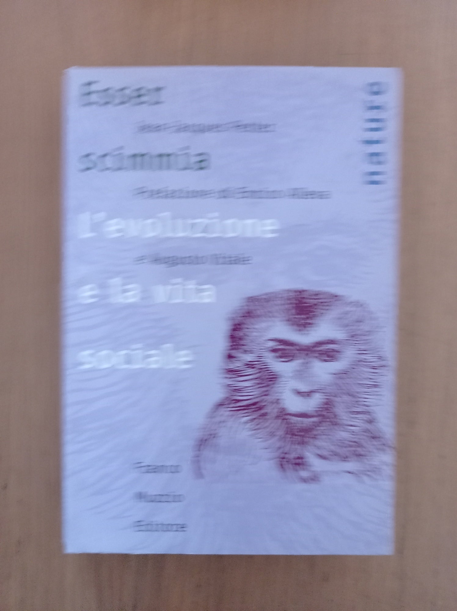 Esser scimmia. L\'evoluzione e la vita sociale - copertina