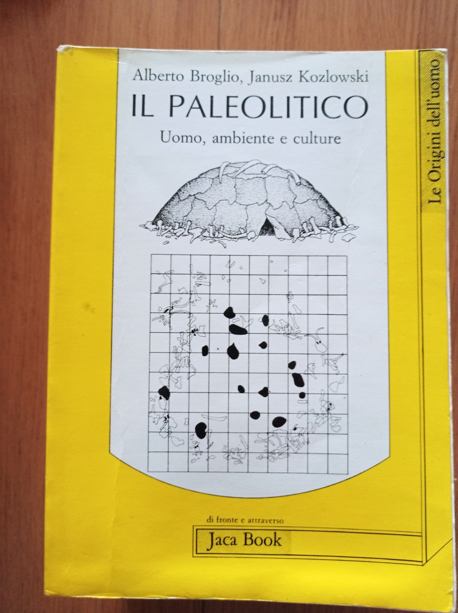 Il paleolitico. Uomo, ambiente e culture - copertina