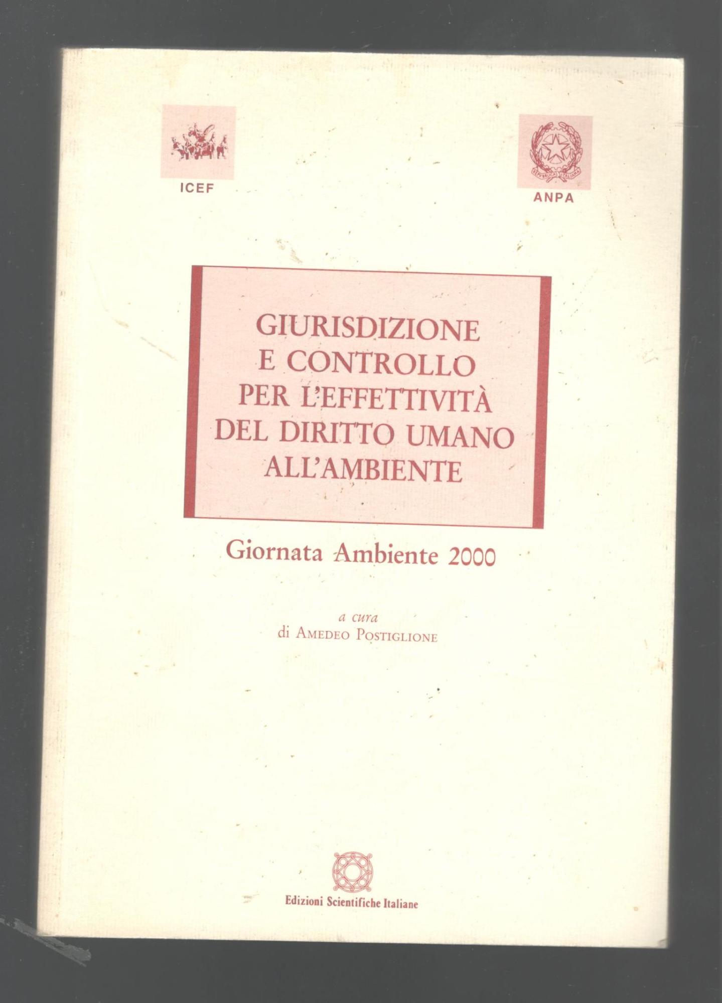 Giurisdizione e controllo per l'effettività del diritto umano all\'ambiente. Giornata ambiente 2000 - copertina