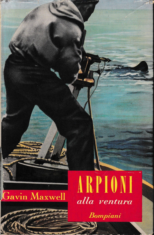 Arpioni alla ventura - copertina