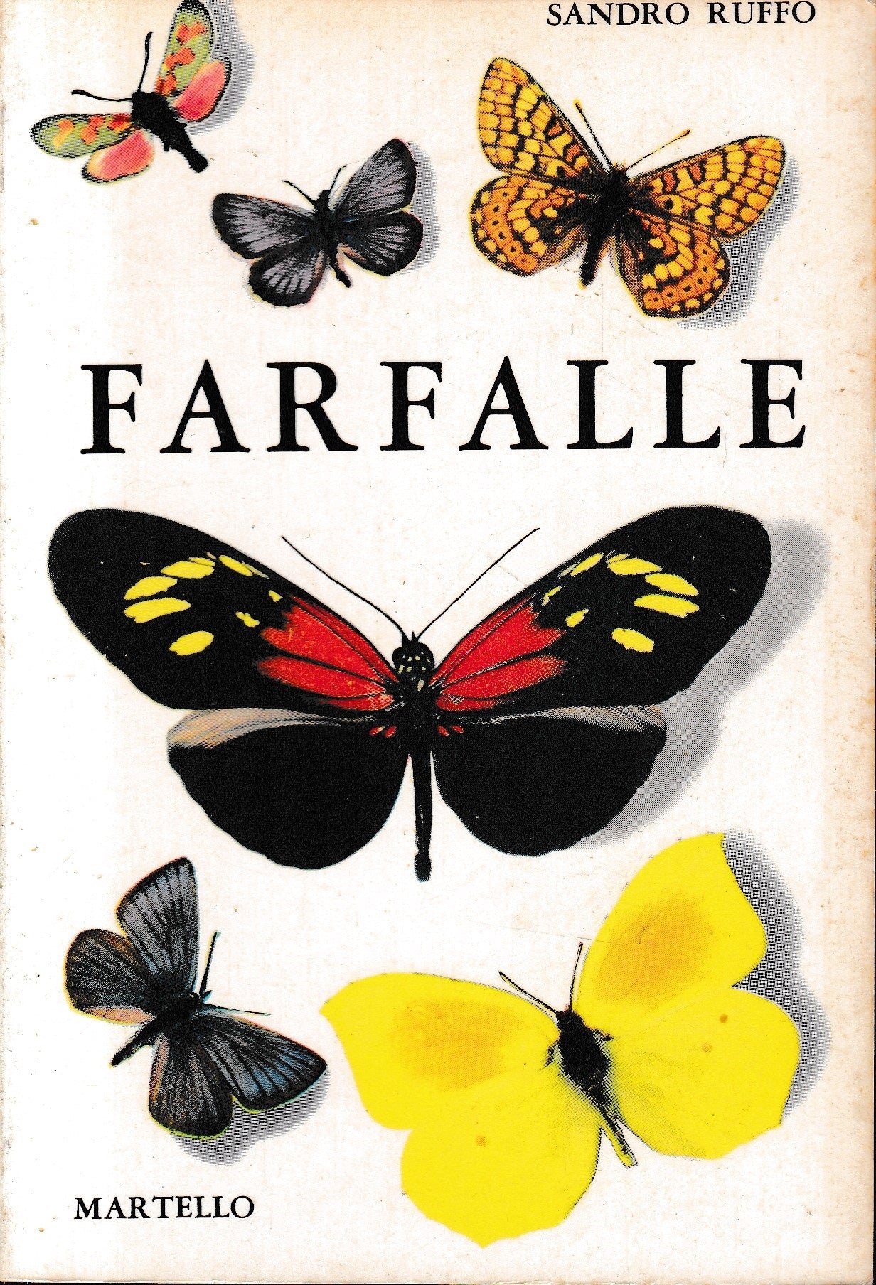 Farfalle - copertina