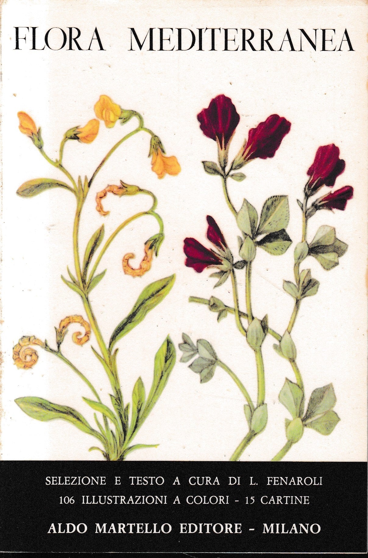 Flora Mediterranea, volume 1° - copertina
