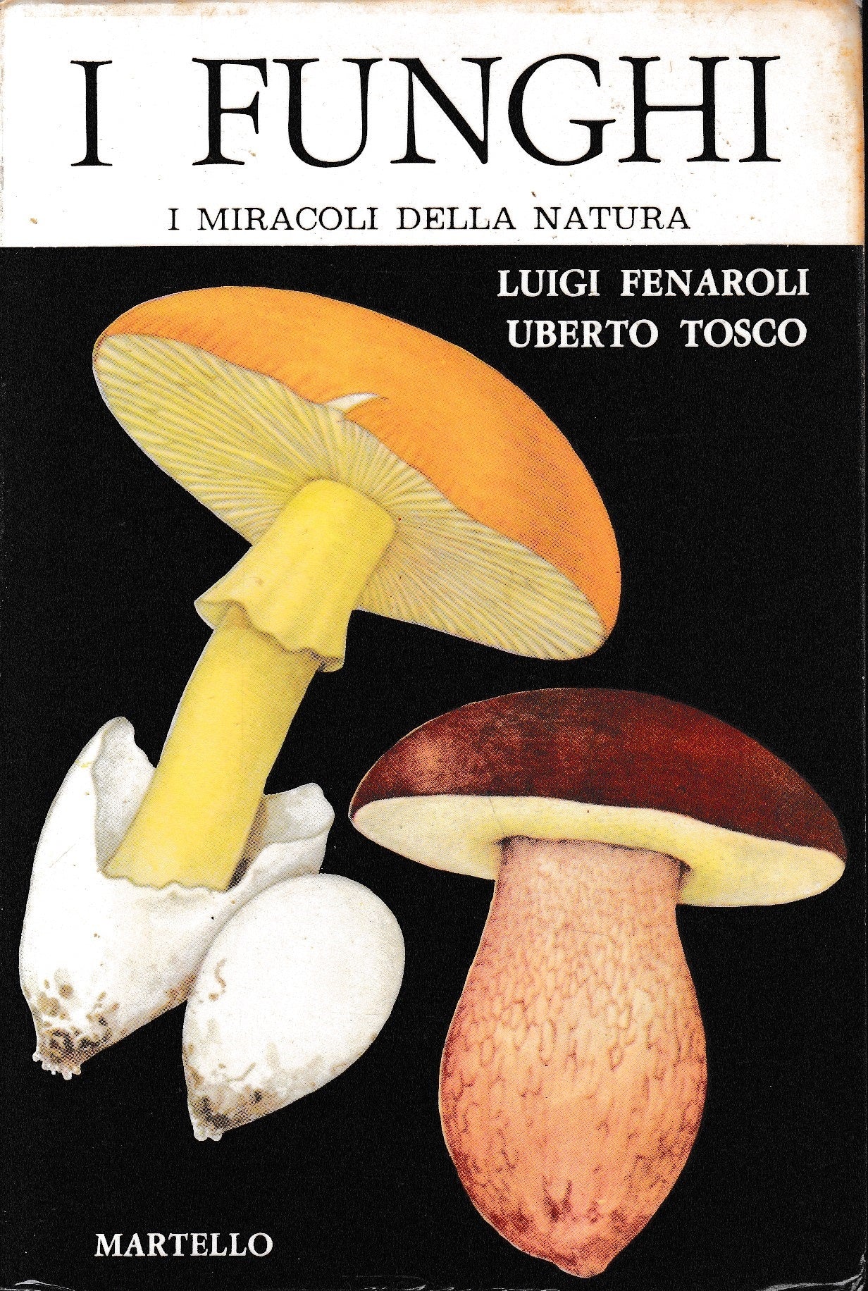 I funghi - copertina