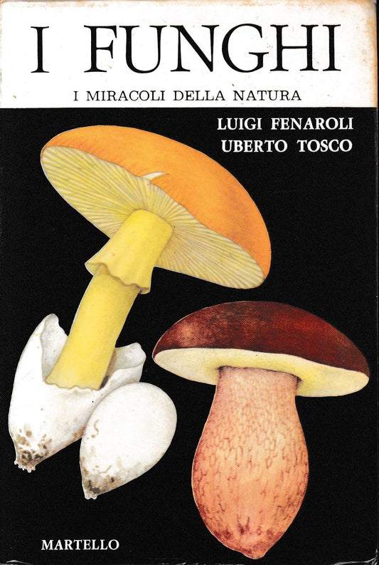 I funghi - copertina