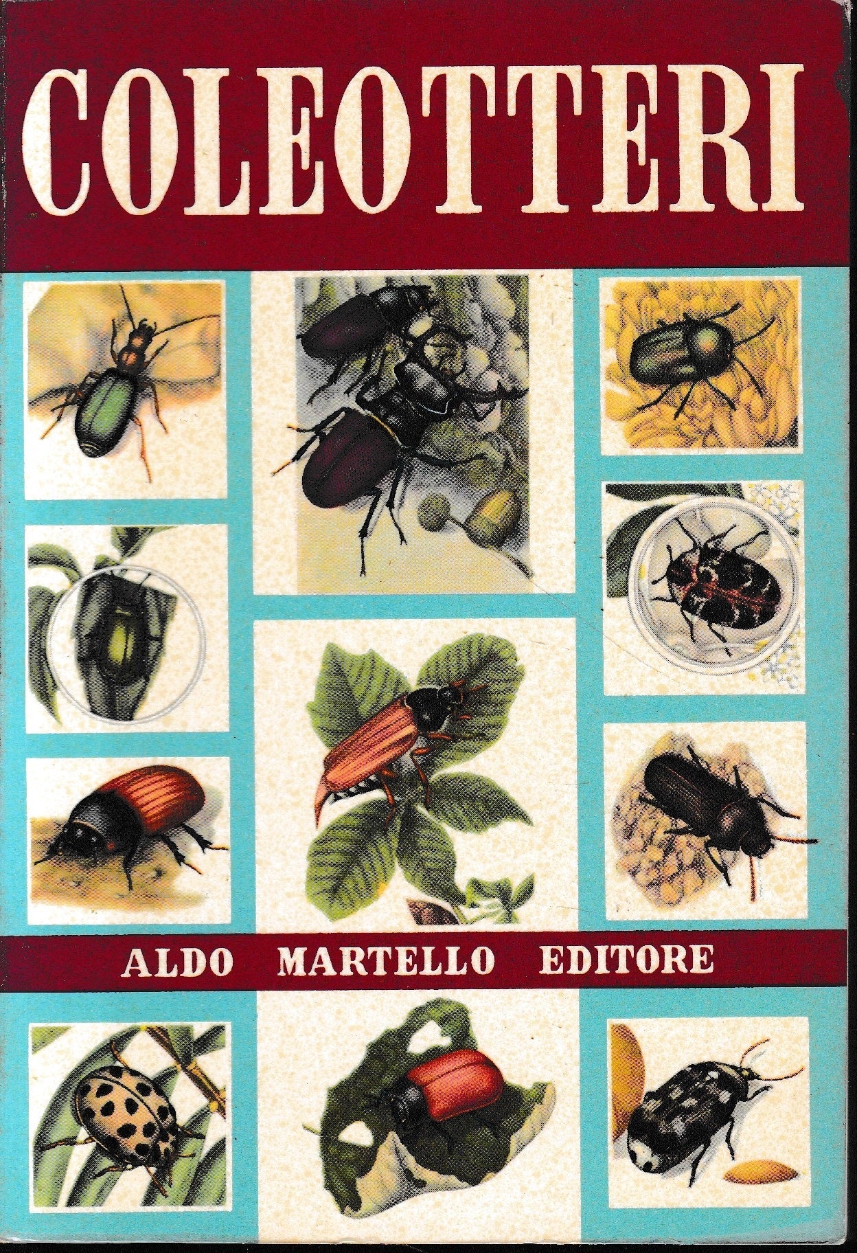 Coleotteri - copertina