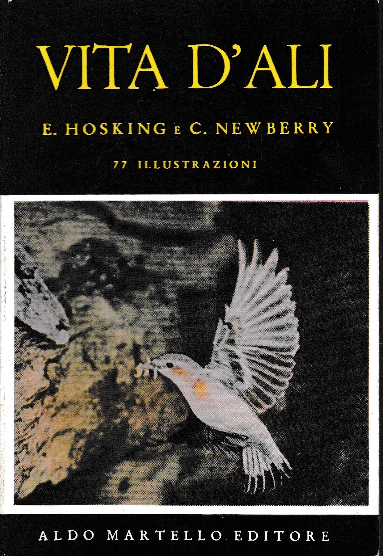 Vita d'ali - copertina