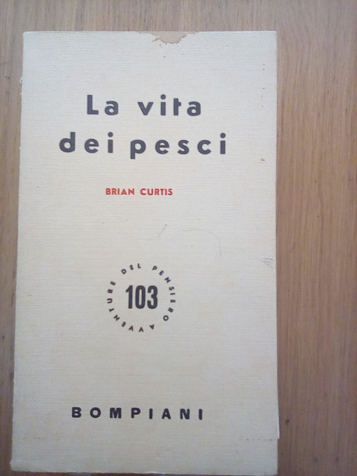 La vita dei pesci - copertina