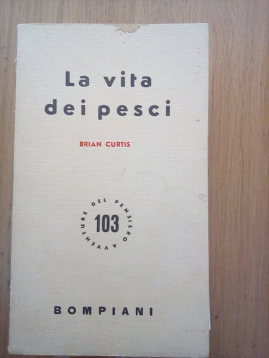 La vita dei pesci - copertina