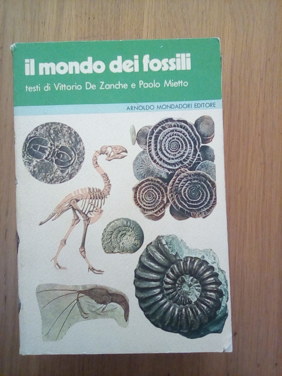 Il mondo dei fossili - copertina