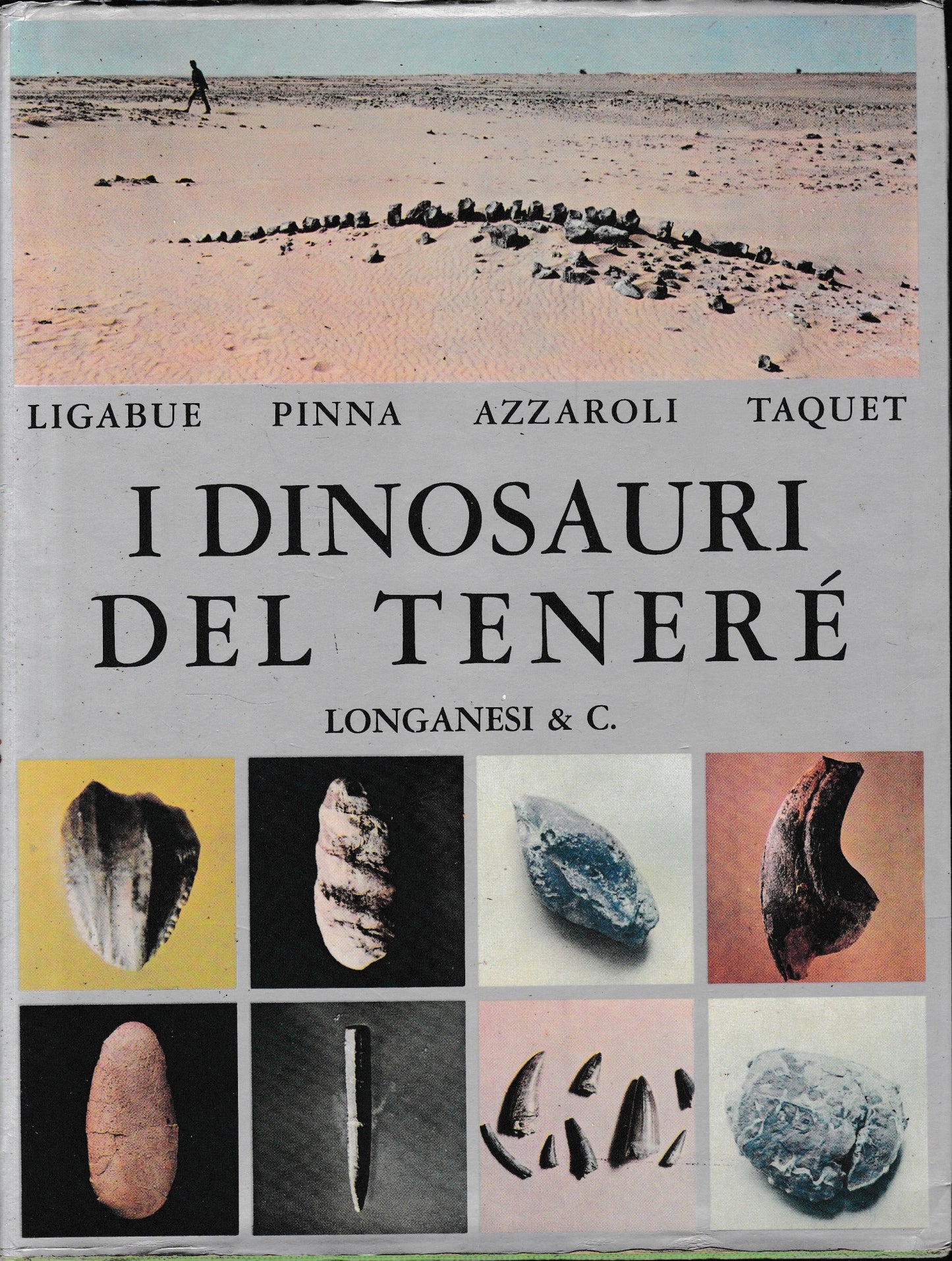 I dinosauri del Teneré - copertina