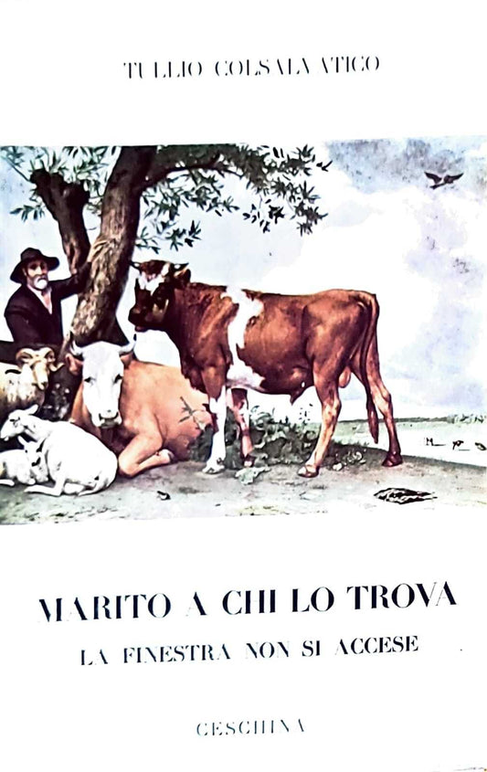 Marito a chi lo trova - la finestra non si accese - copertina