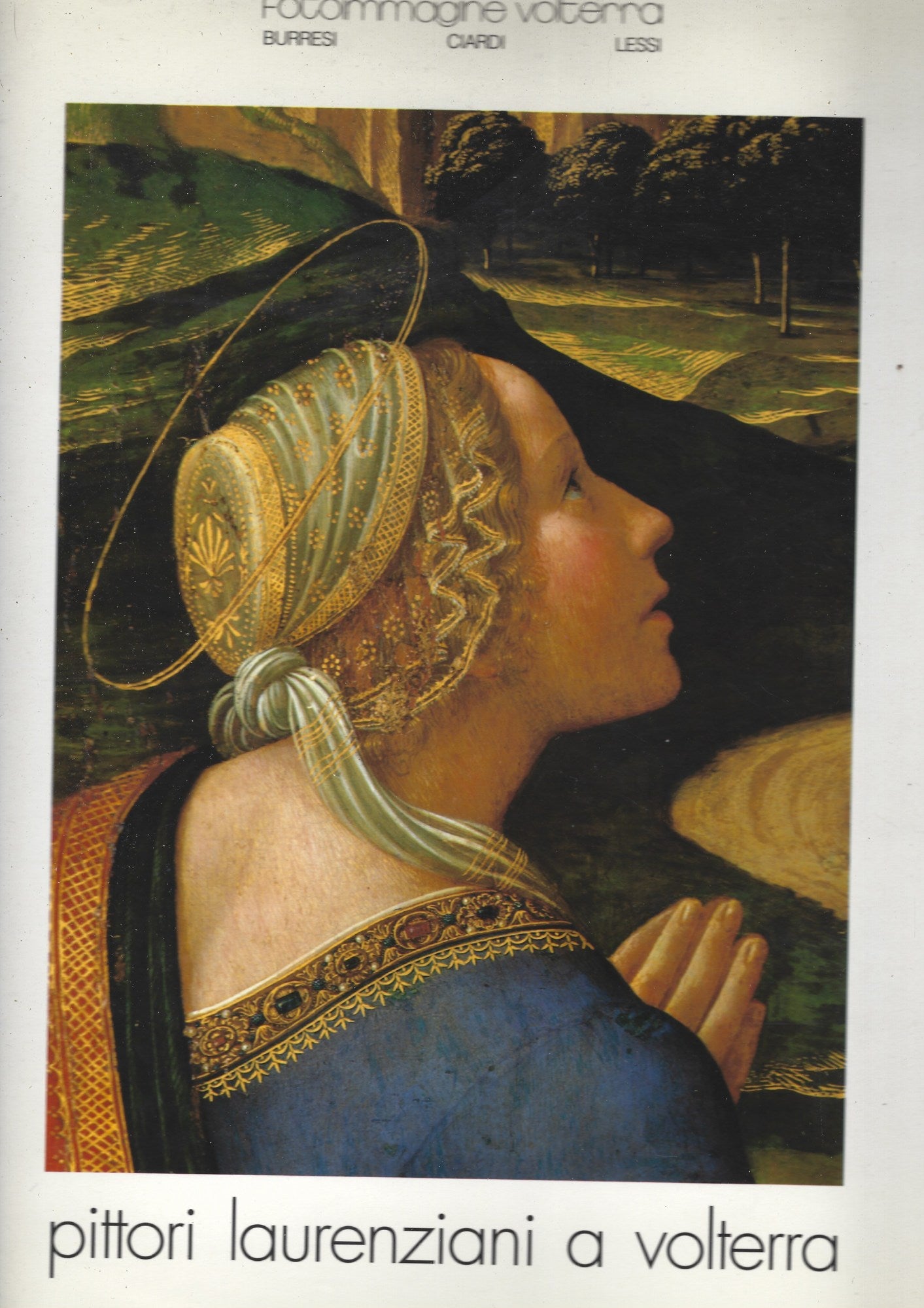 PITTORI LAURENZIANI A VOLTERRA - copertina