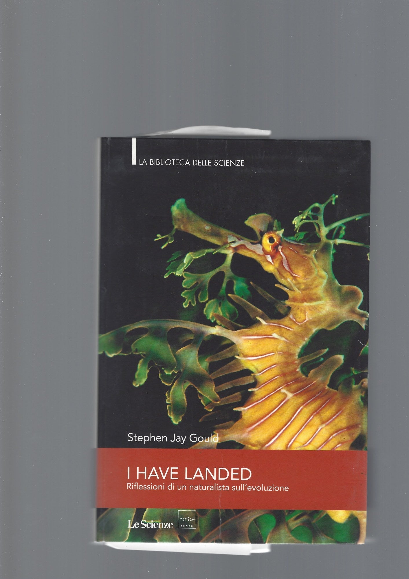 I HAVE LANDED - copertina