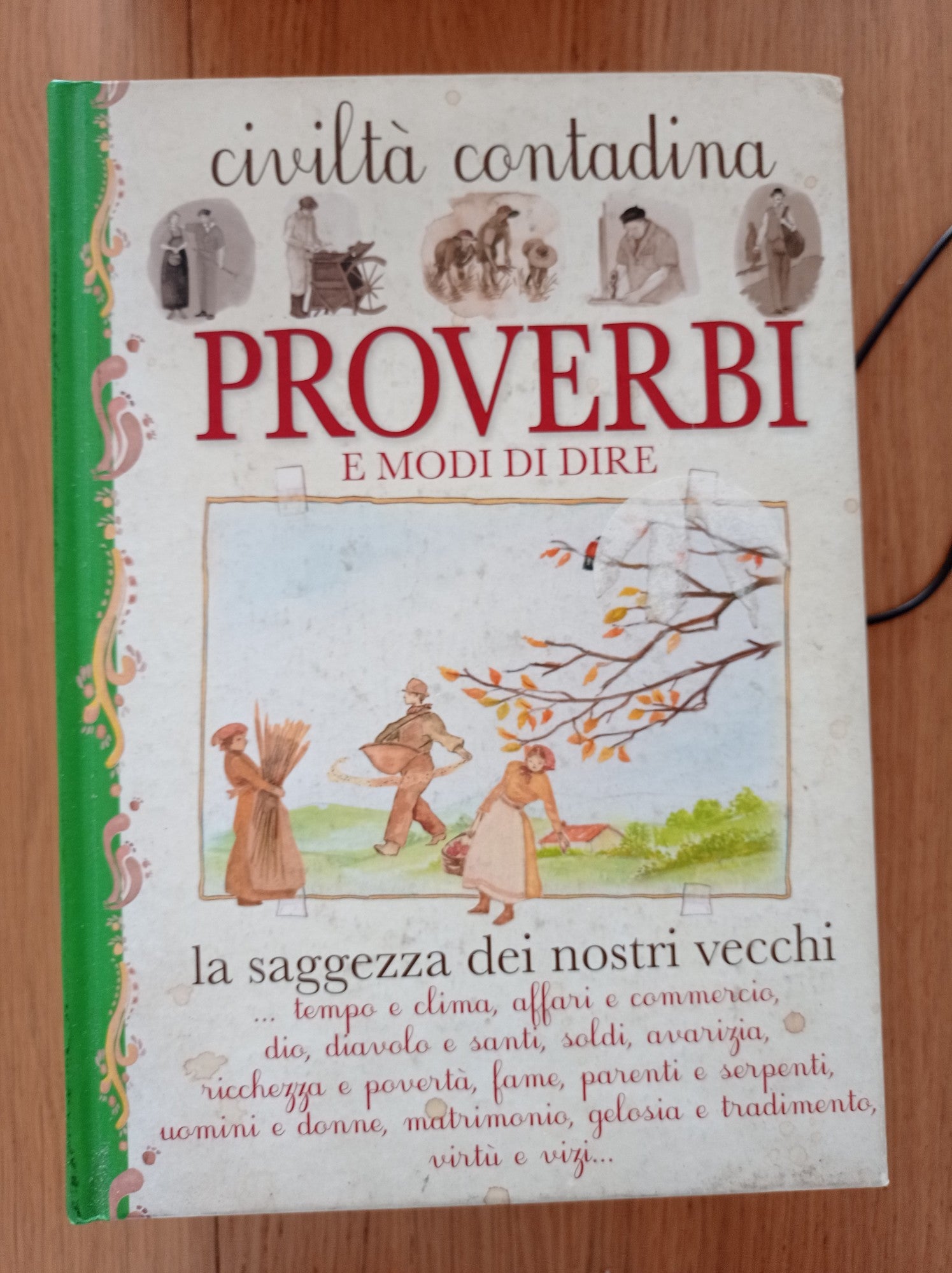 Proverbi e modi di dire - copertina