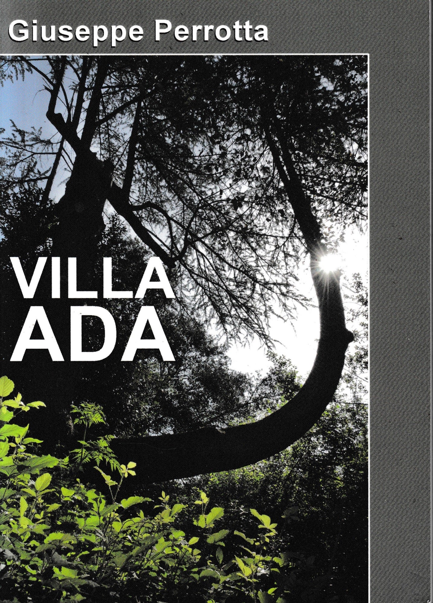 Villa Ada - copertina