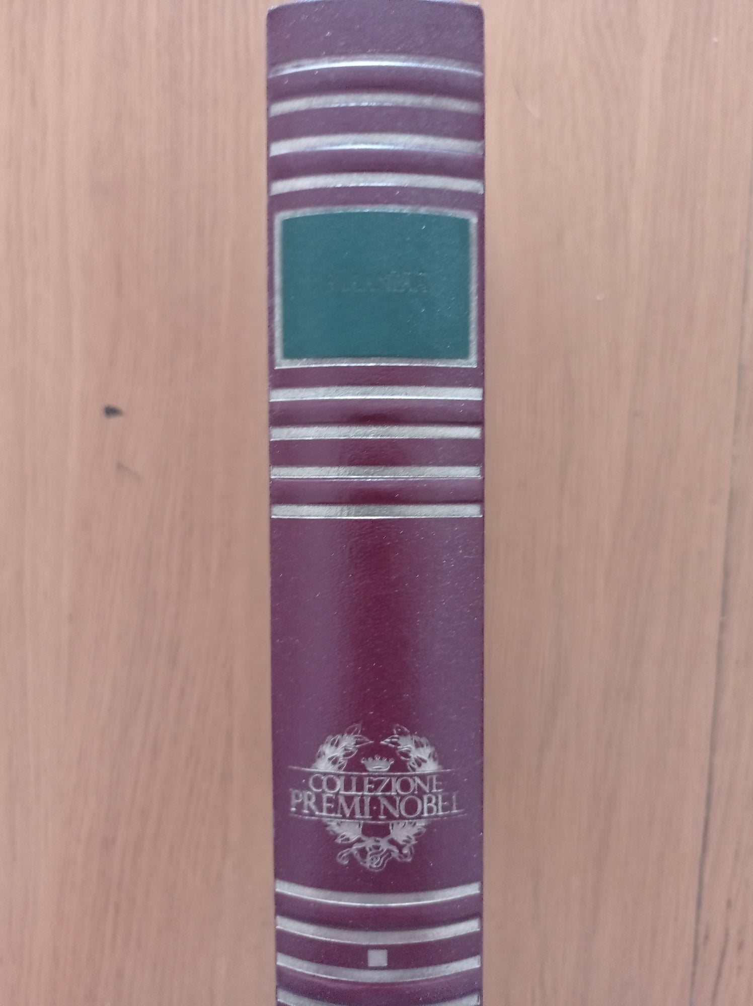 Santa miseria Silja Racconti - copertina