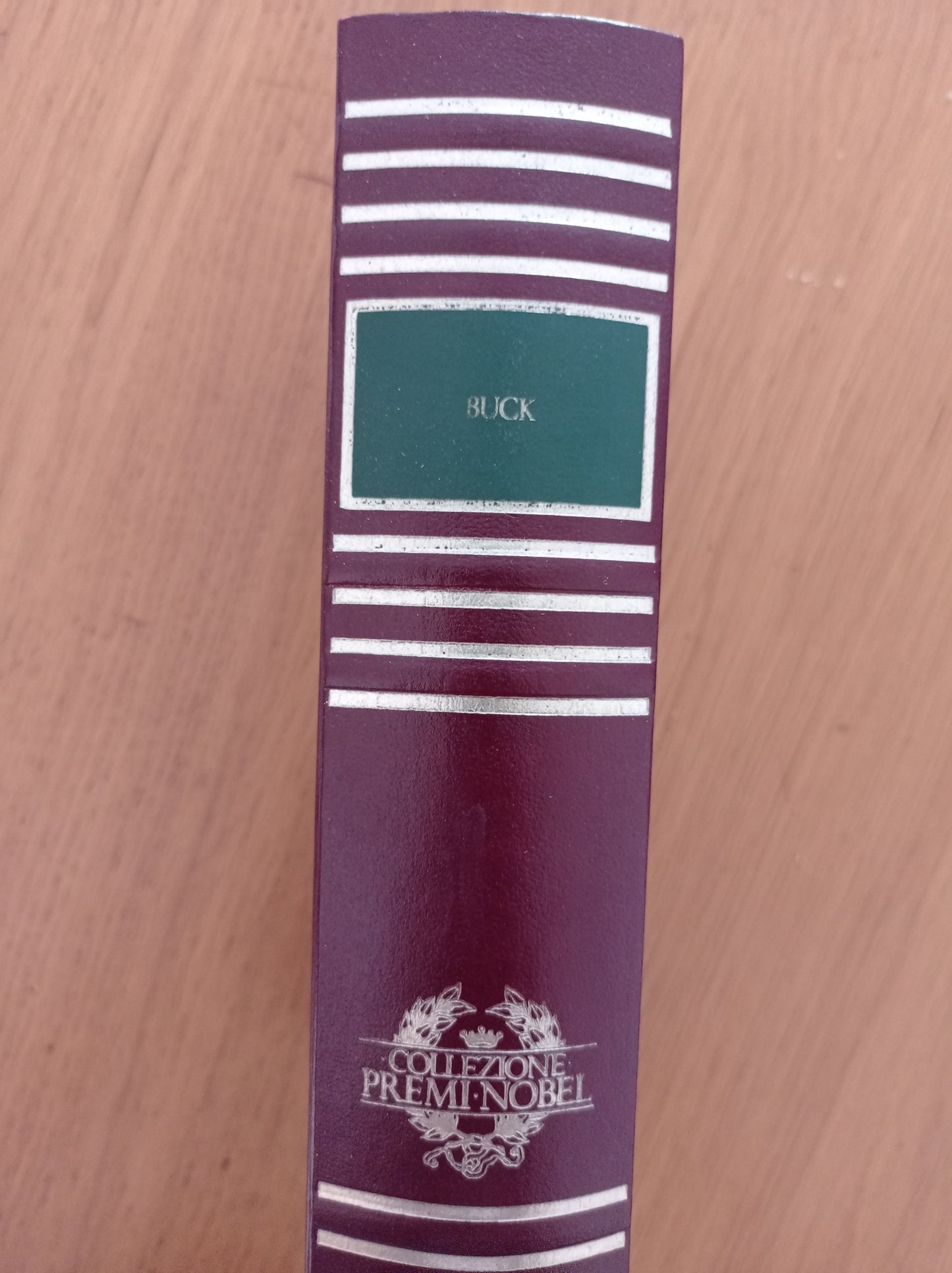 La buona terra Stirpe di drago - copertina