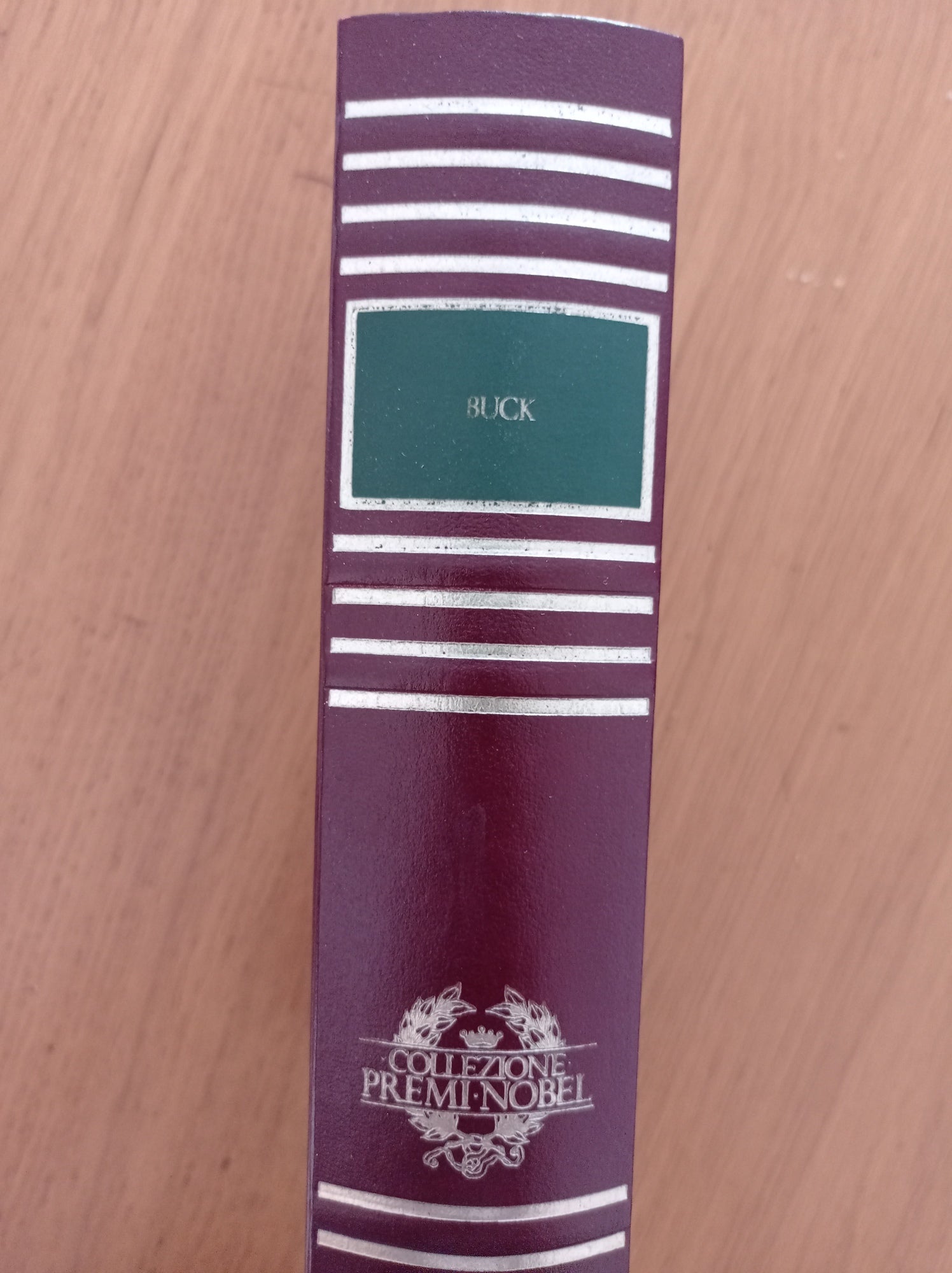 La buona terra Stirpe di drago - copertina