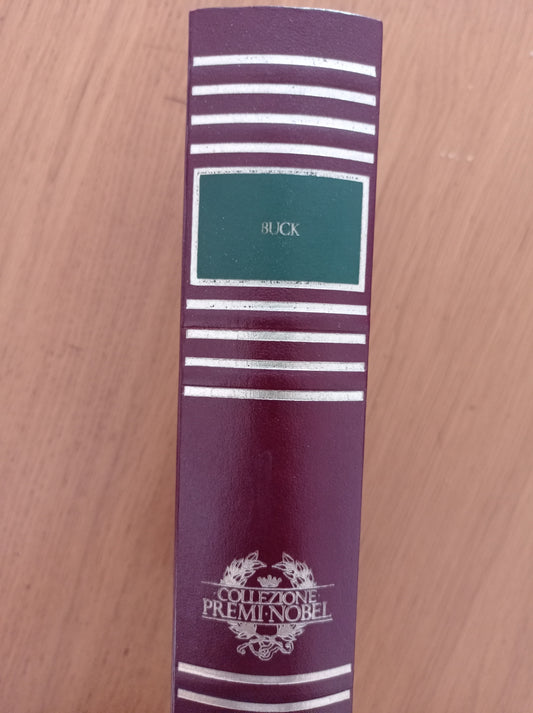 La buona terra Stirpe di drago - copertina