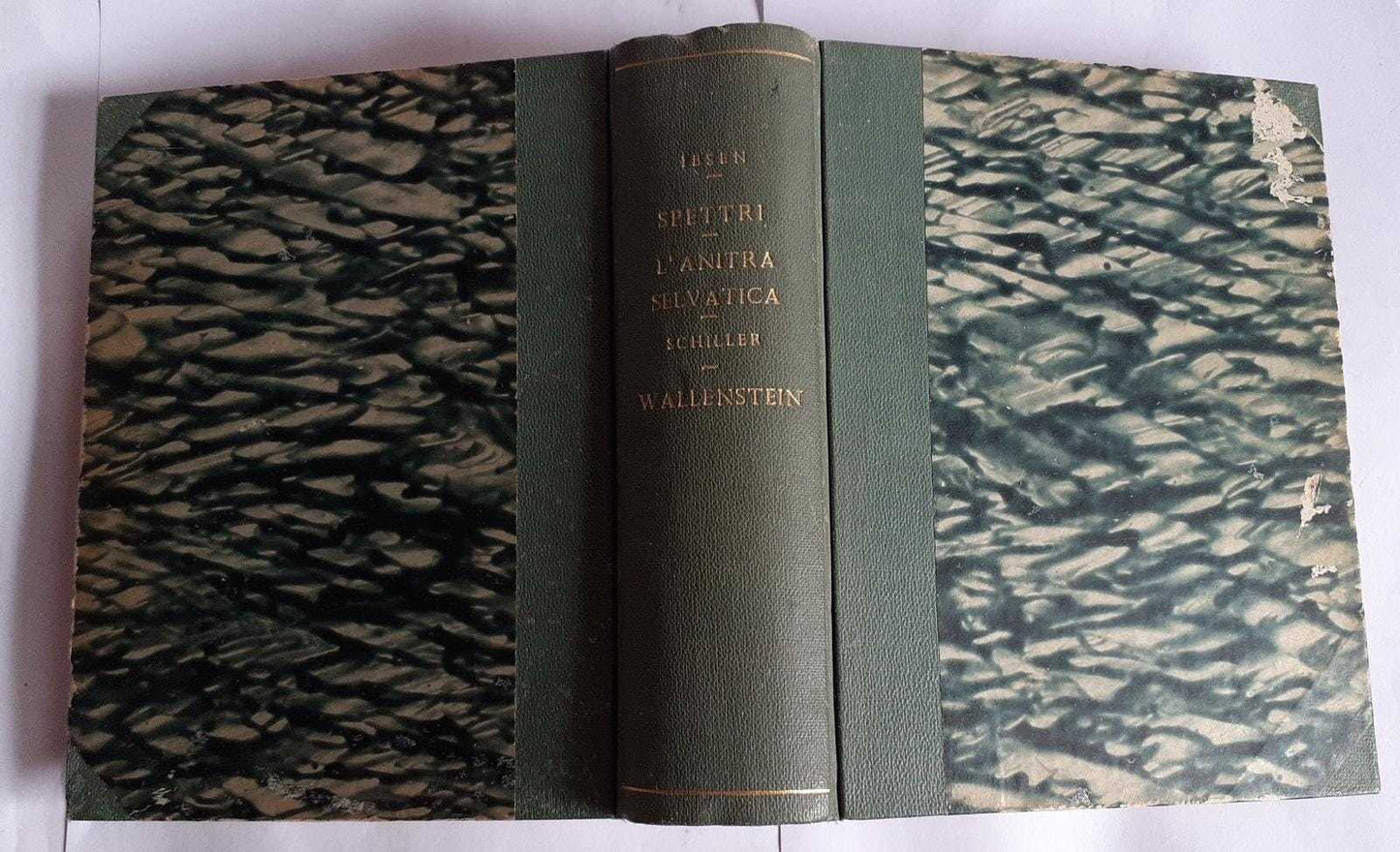 Spettri-L'anitra selvatica - copertina