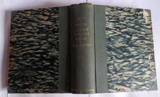 Spettri-L'anitra selvatica - copertina