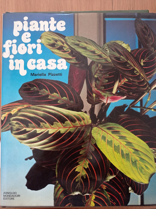 Piante e fiori in casa - copertina